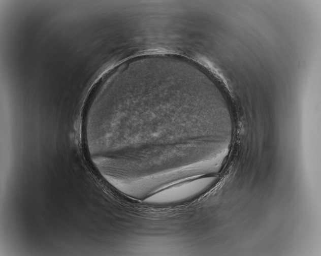 X0000096221173200802151516