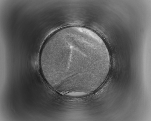 X0000096221174200802151516