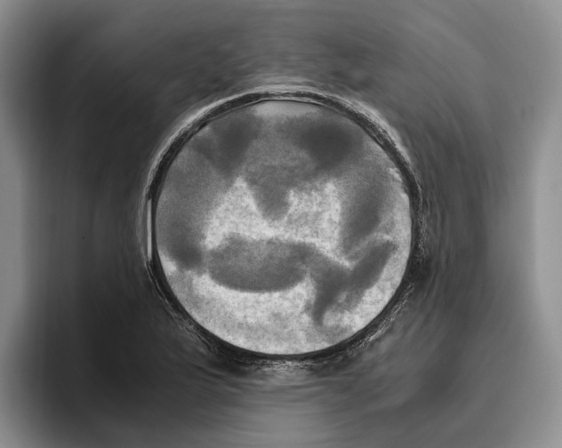 X0000096221175200802151516