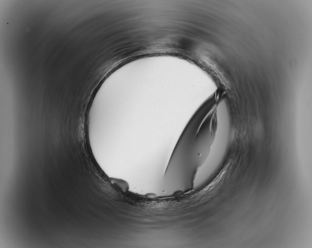 X0000096221177200802151516