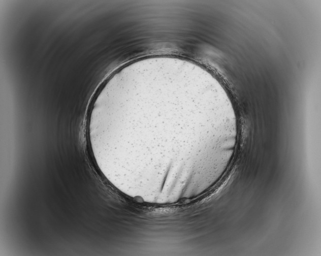 X0000096221178200802151516