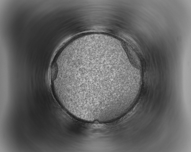 X0000096221180200802151516