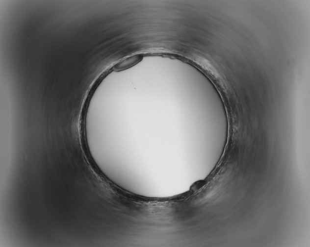 X0000096221181200802151516