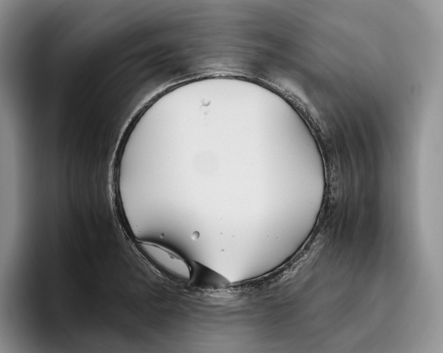 X0000096221182200802151516