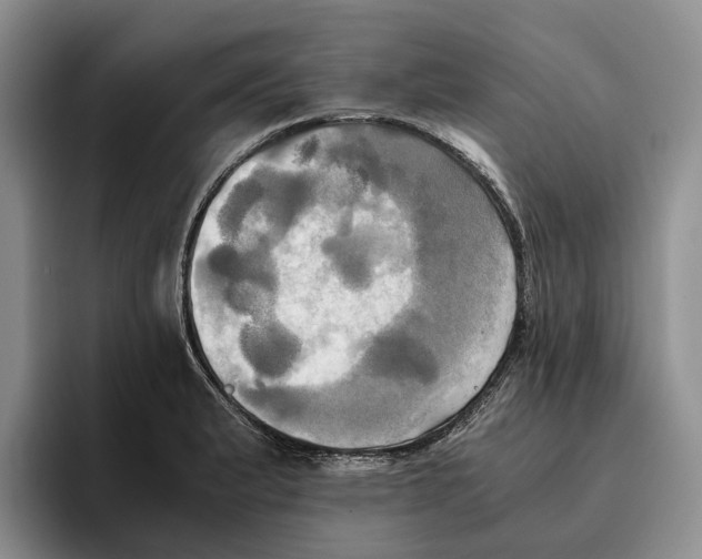 X0000096221183200802151516