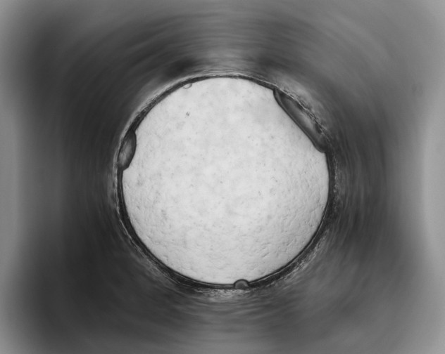 X0000096221184200802151516