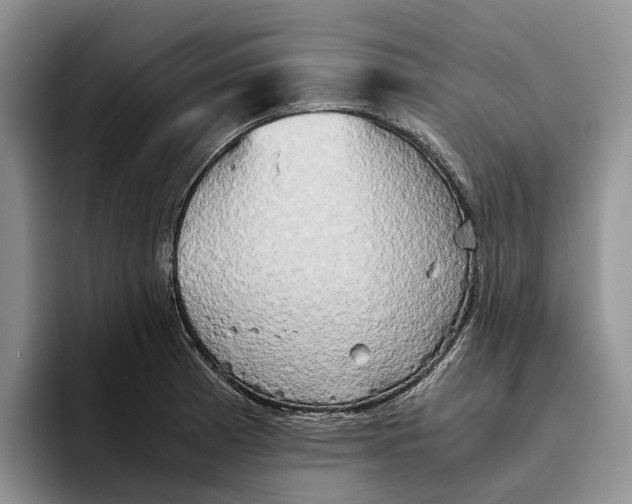 X0000096221185200802151516