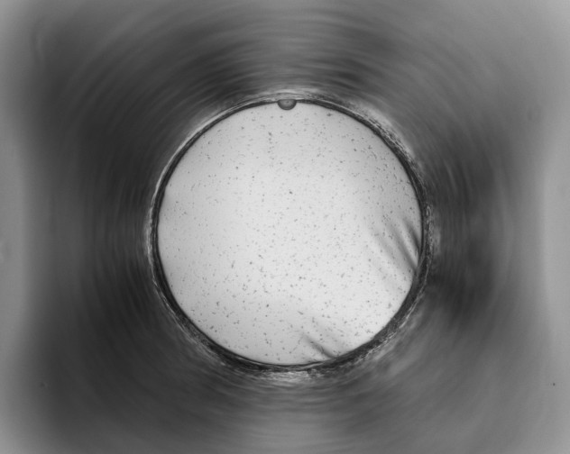 X0000096221186200802151516