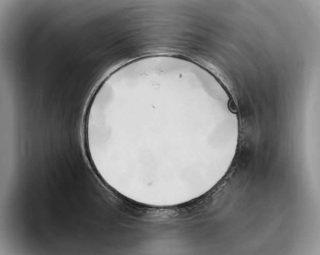 X0000096221187200802151516