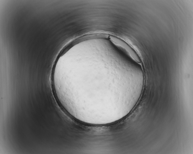 X0000096221189200802151516