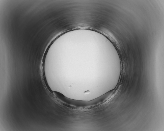 X0000096221190200802151516