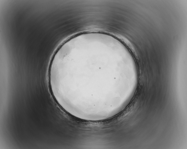 X0000096221191200802151516