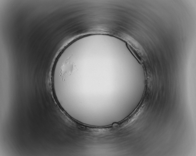 X0000096221192200802151516