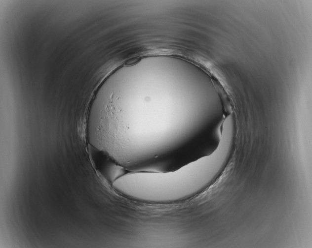 X0000096221193200802151516