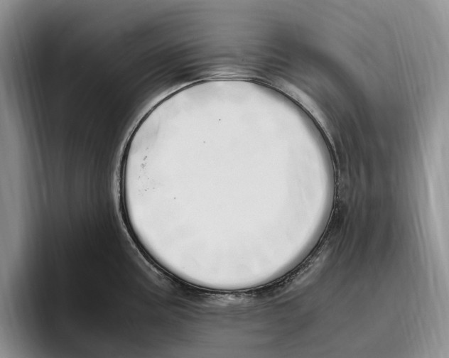 X0000096221195200802151516