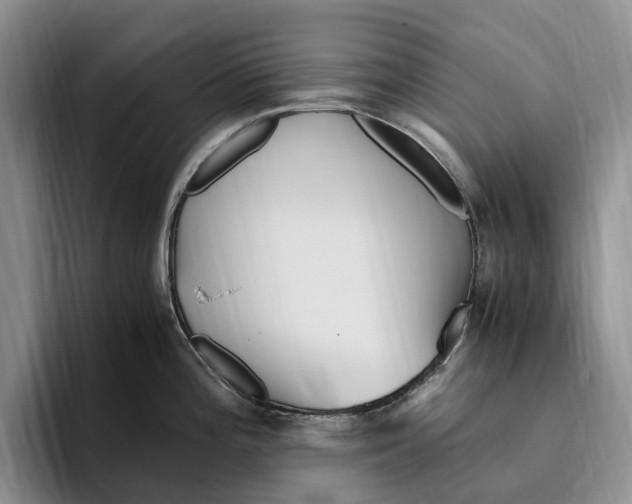 X0000096221196200802151516