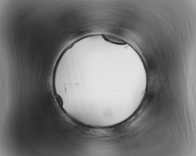 X0000096221197200802151516