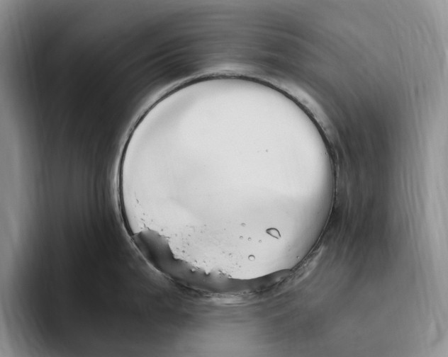 X0000096221199200802151516