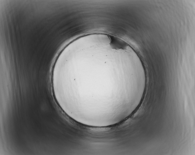 X0000096221200200802151516