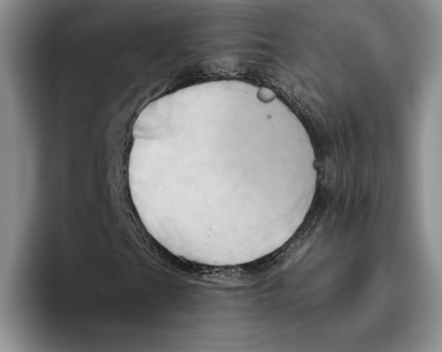 X0000096221201200802151515