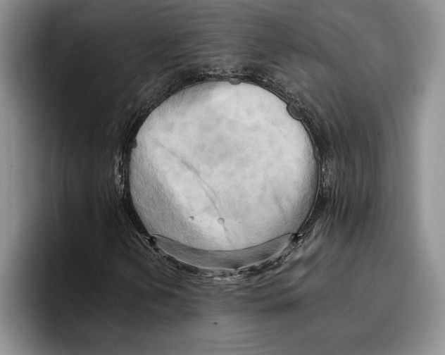 X0000096221202200802151515