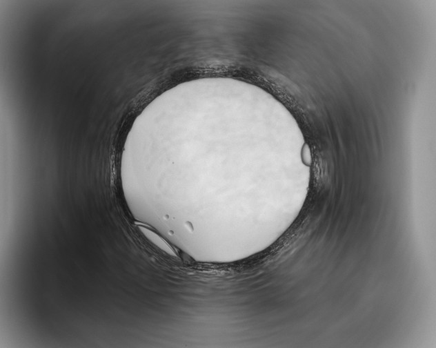 X0000096221204200802151515