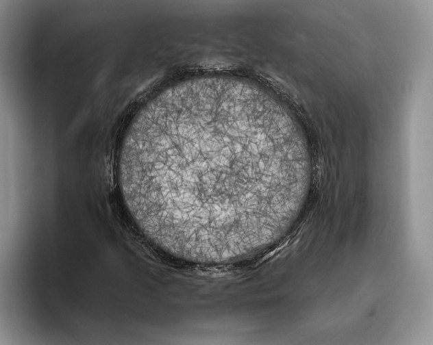 X0000096221205200802151515