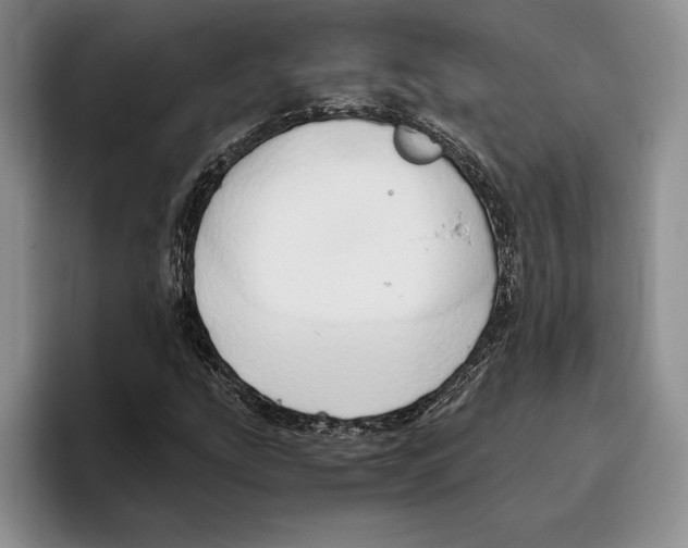 X0000096221207200802151515