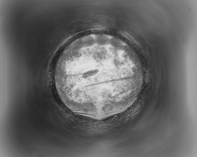 X0000096221208200802151515