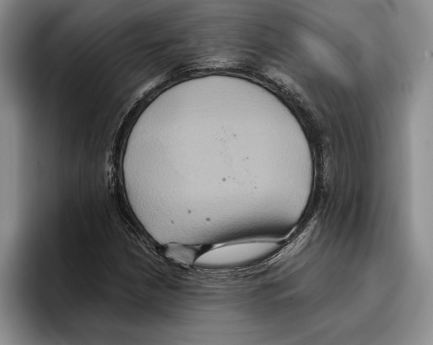 X0000096221210200802151515