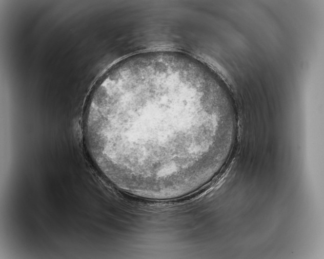 X0000096221212200802151515