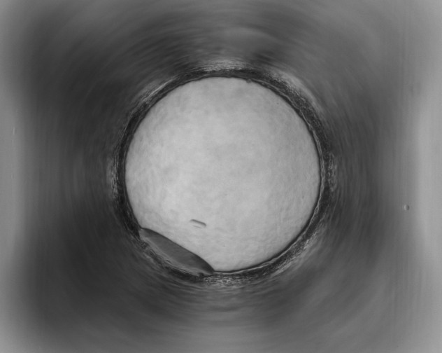 X0000096221217200802151515