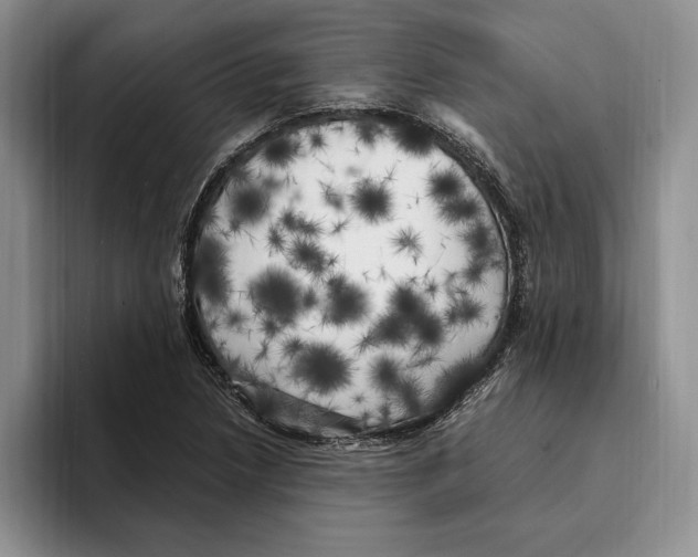 X0000096221218200802151515