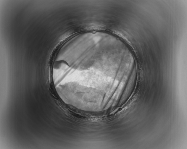 X0000096221219200802151515