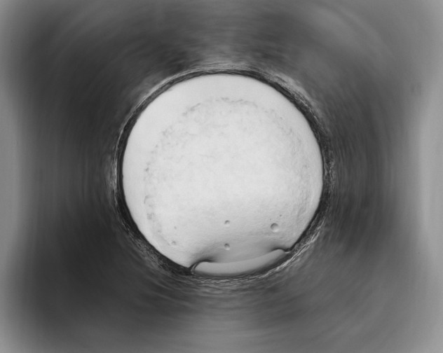 X0000096221220200802151515