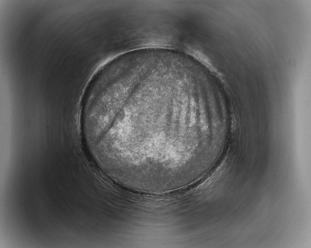 X0000096221222200802151515