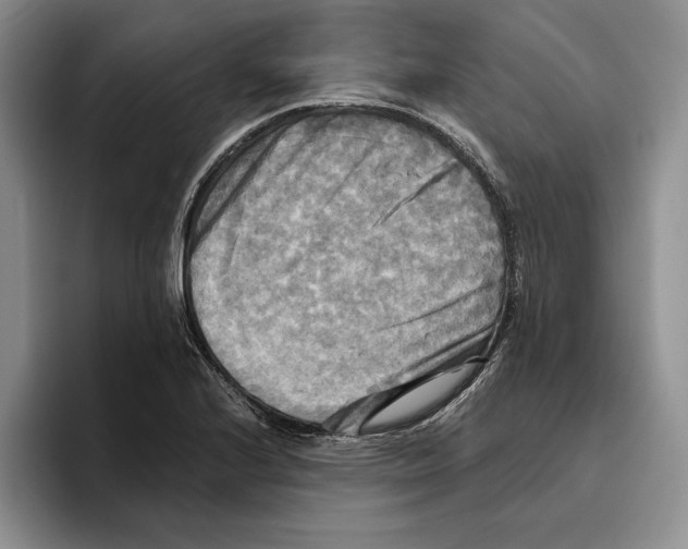 X0000096221224200802151515