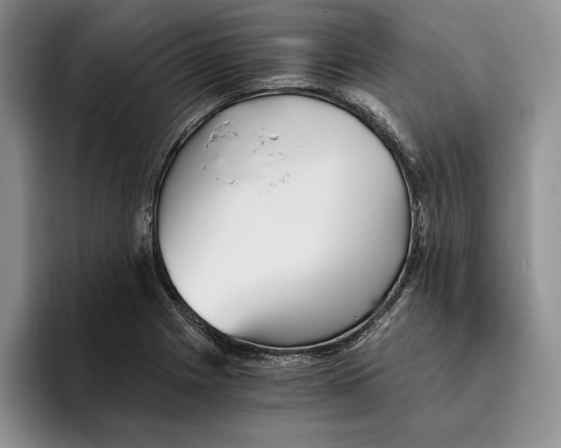 X0000096221225200802151515