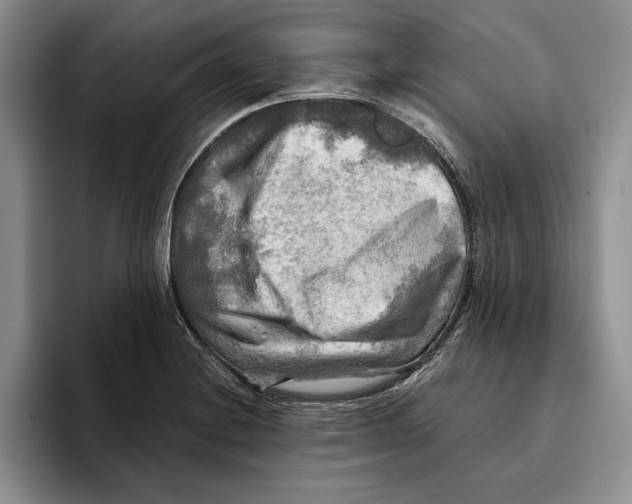 X0000096221228200802151515