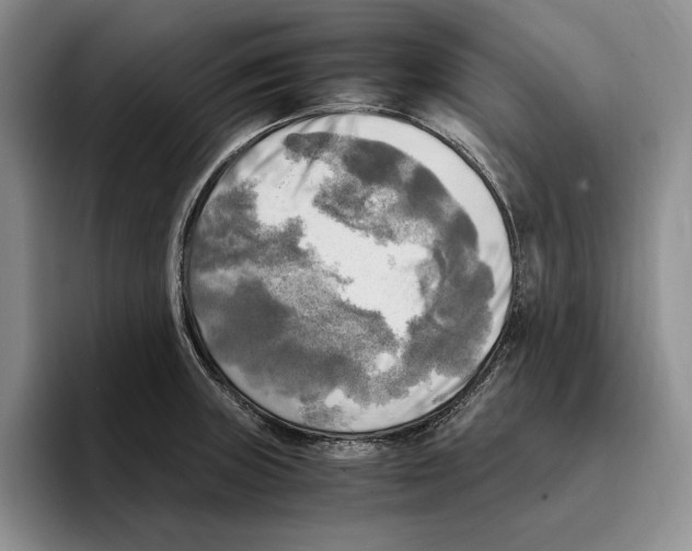 X0000096221235200802151515