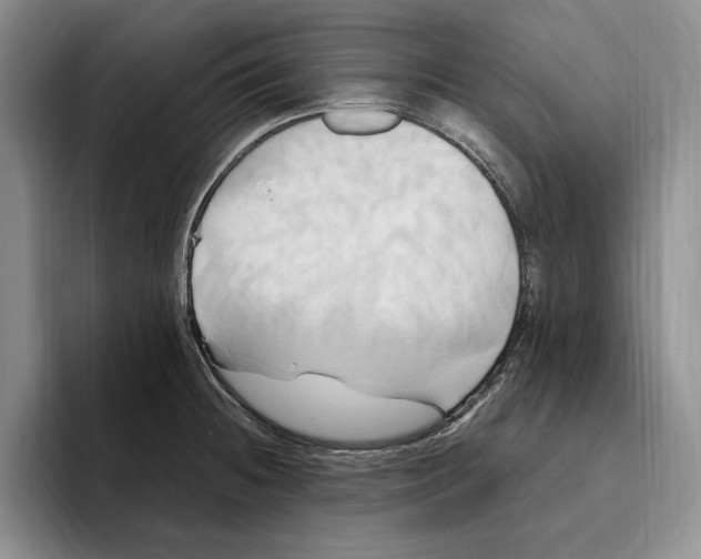 X0000096221236200802151515