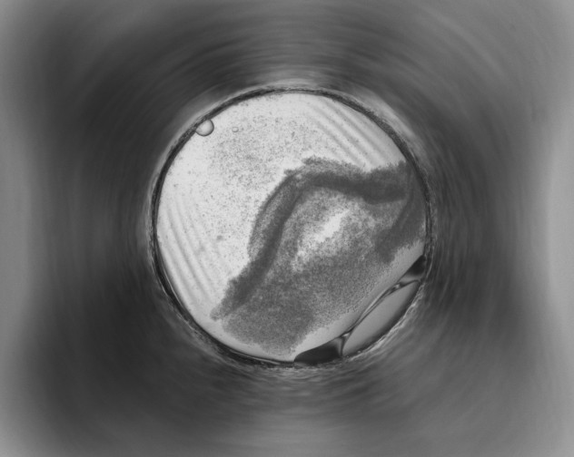 X0000096221240200802151516