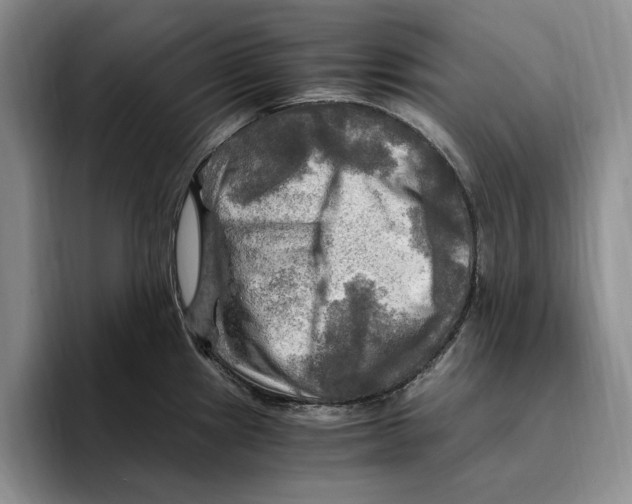 X0000096221241200802151516