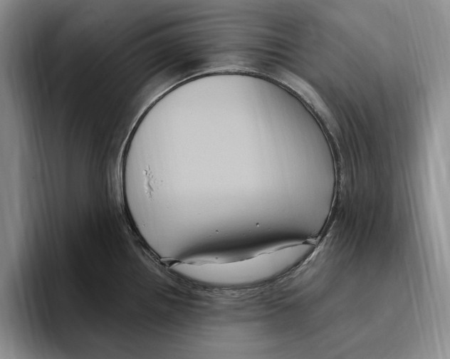 X0000096221242200802151516