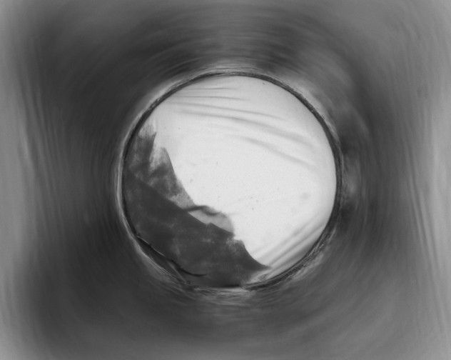 X0000096221245200802151516