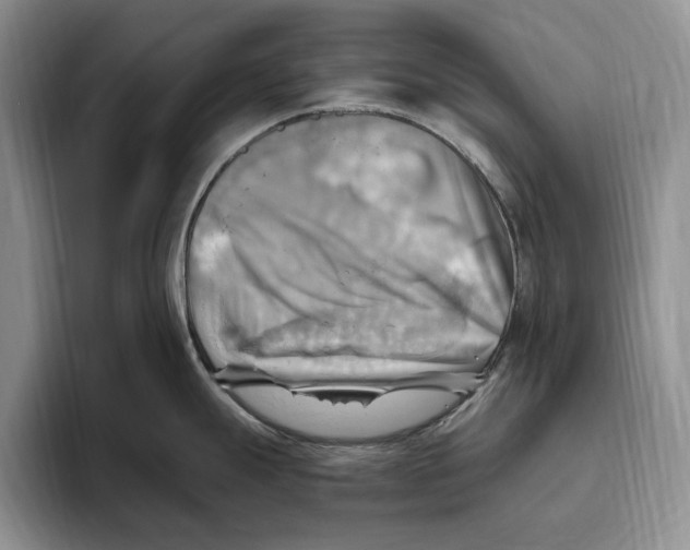 X0000096221247200802151516