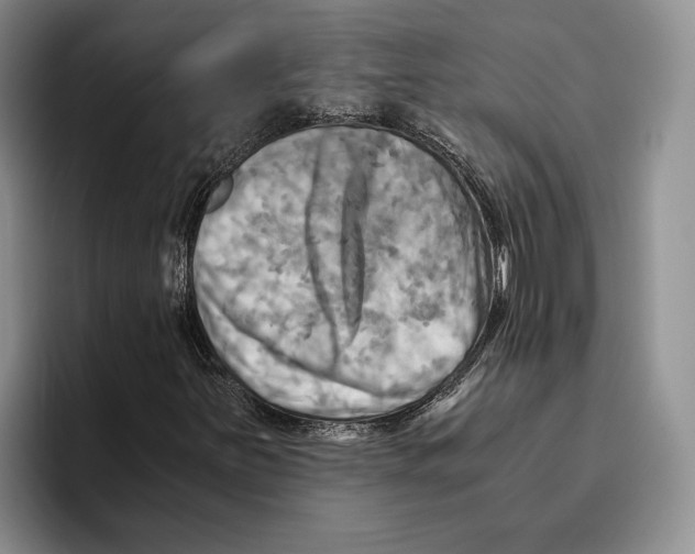 X0000096221251200802151515