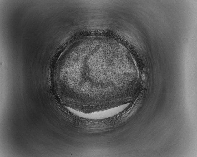 X0000096221252200802151515