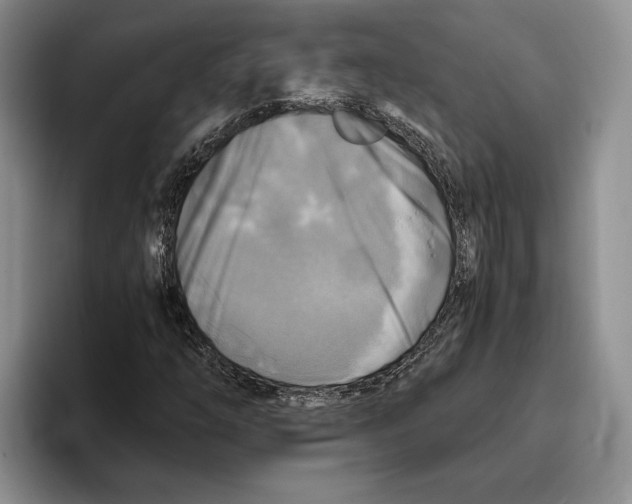 X0000096221254200802151515