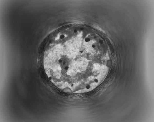 X0000096221255200802151515